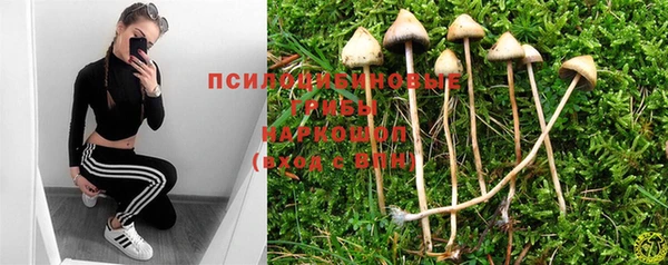 амф Волоколамск